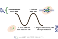 Crispr technology