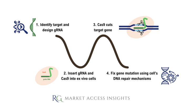 Crispr technology